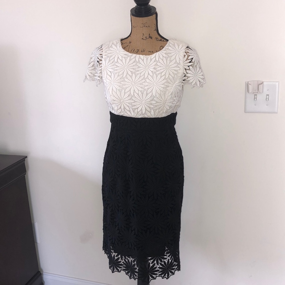 Shoshanna size 6 floral lace dress